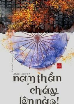 Xuyên Nhanh: Nam Thần, Bùng Cháy Đi!
