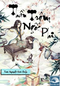 Thần Trộm Ngốc Phi [C]